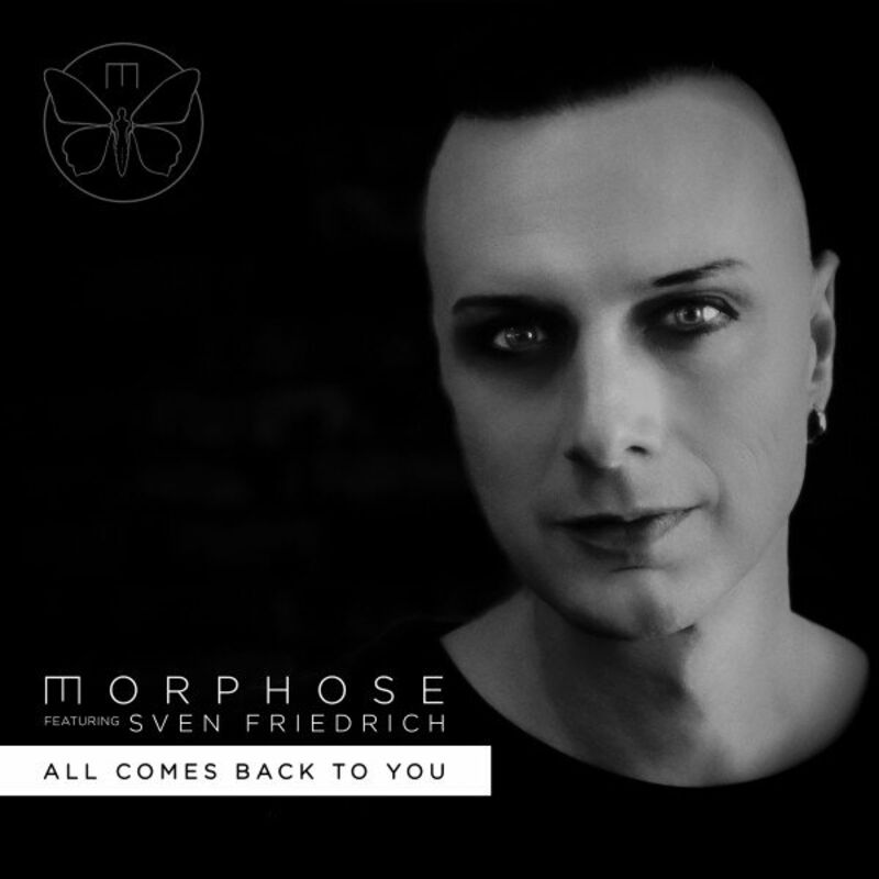 Morphose feat. Sven Friedrich - All Comes Back to You